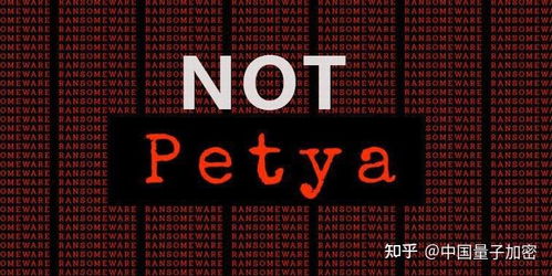 大力發(fā)展信息安全技術(shù)，積極應(yīng)對網(wǎng)絡(luò)攻擊